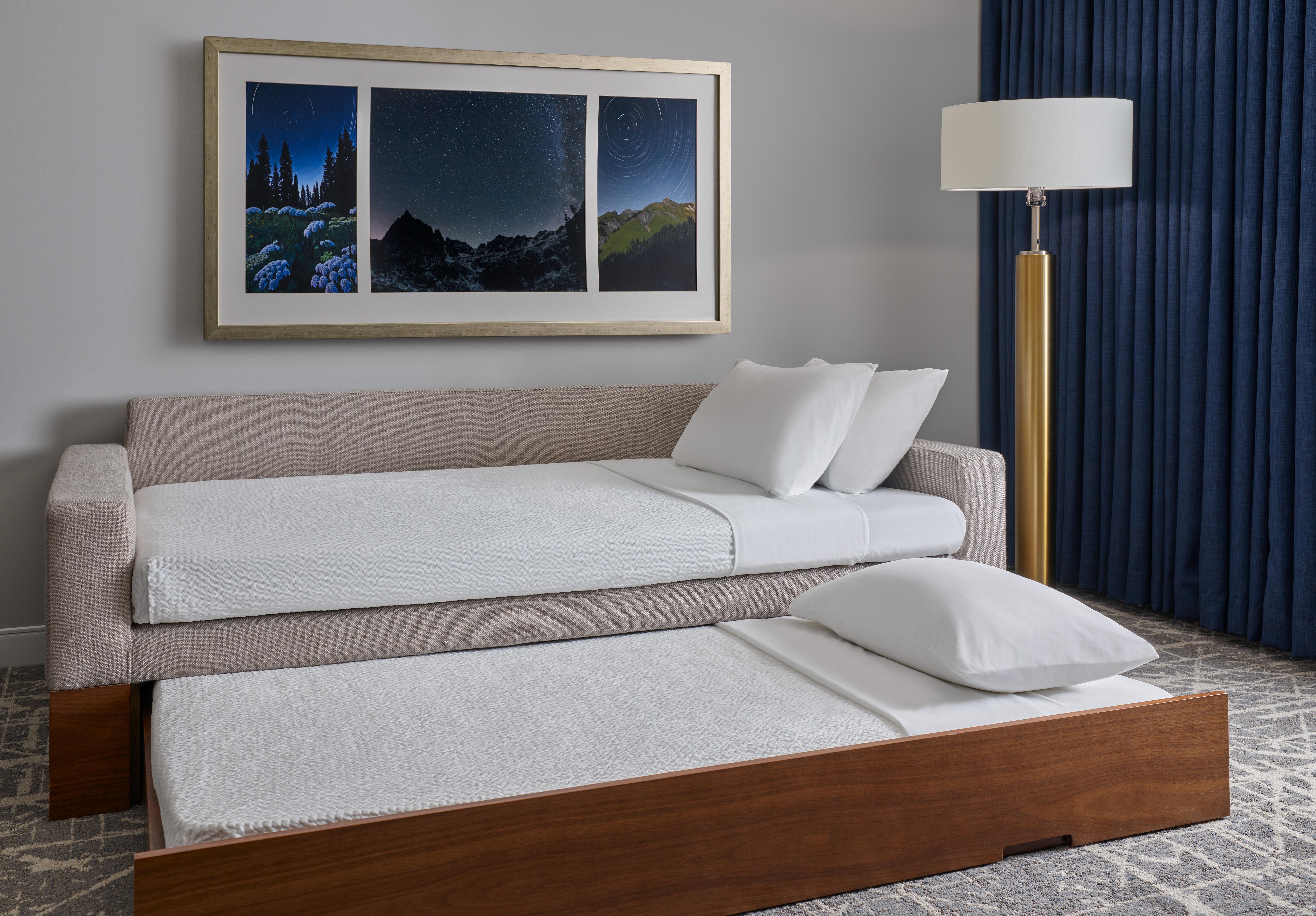 Springhill Suites By Marriott Denver Downtown Zewnętrze zdjęcie
